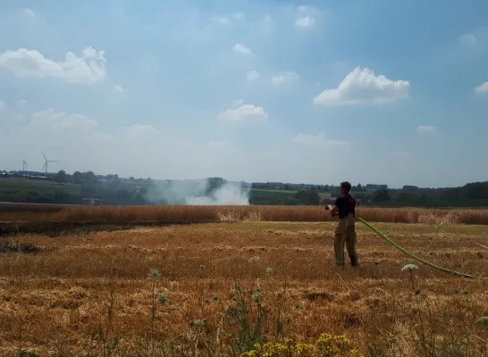 04-04_hallelenniksesteenweg_brand_veld.jpg