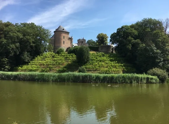 kasteel_gaasbeek2.jpg