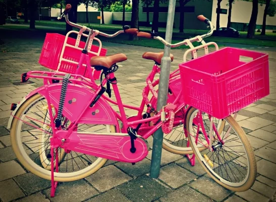 roze_fietsen_algemeen.jpg