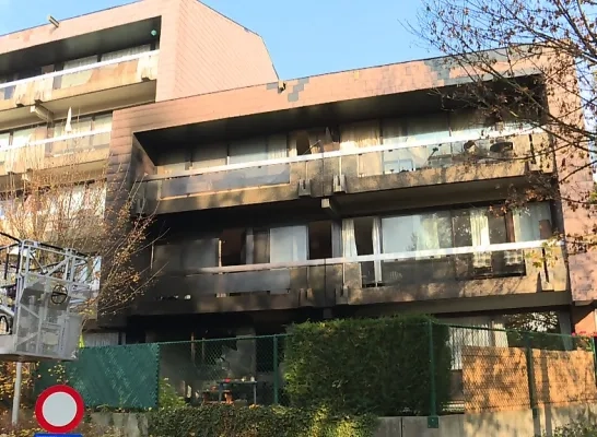 brand_grimbergen.jpg