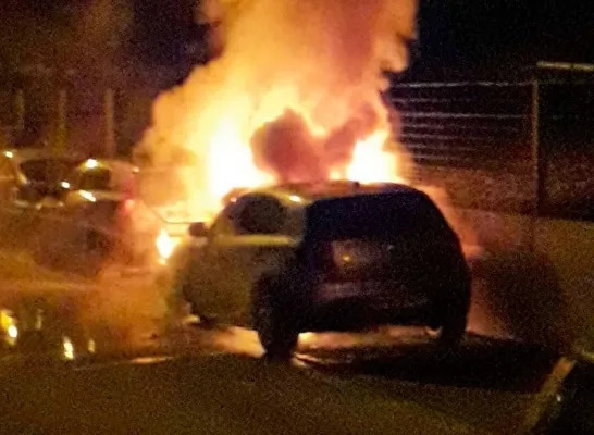 brand_halle.jpg