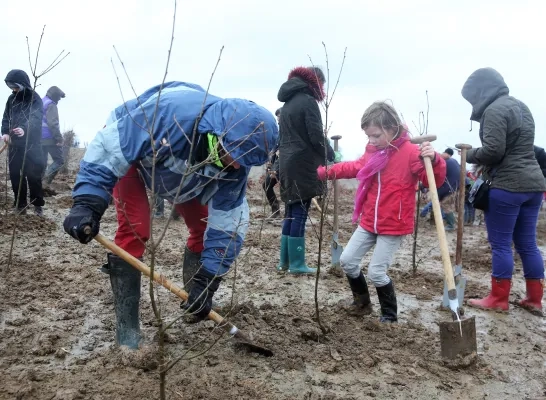 foto_planten.jpg