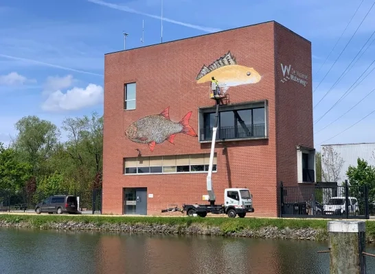 De beeltenis van een rietvoorn en een pos sieren de gevel van het gebouw van De Vlaamse Waterweg