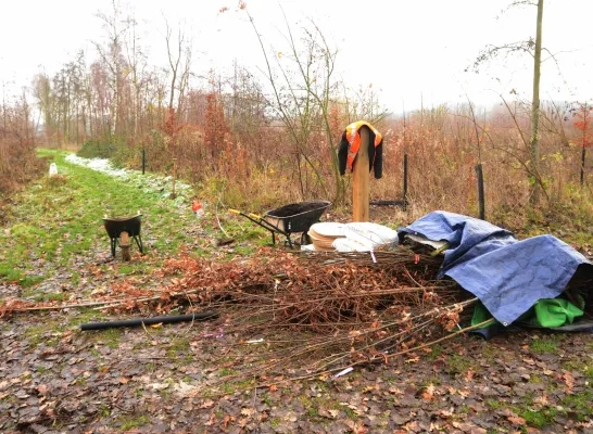 koudenbergbeekvallei_affligem_foto_rlpz.jpg