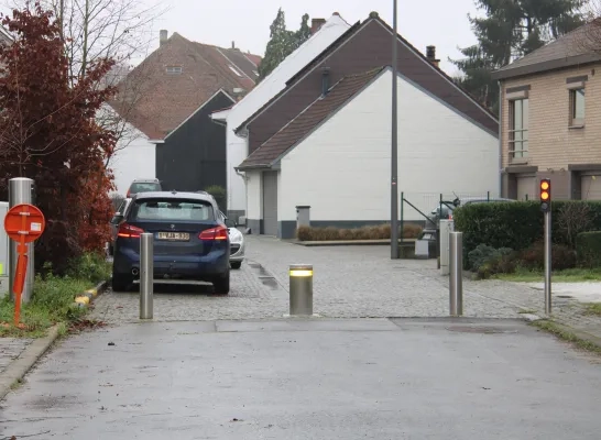 paaltje_mollem_met_licht.jpg