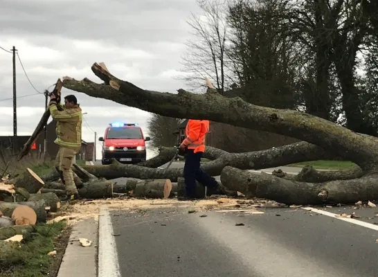 stormdennisschade.jpg