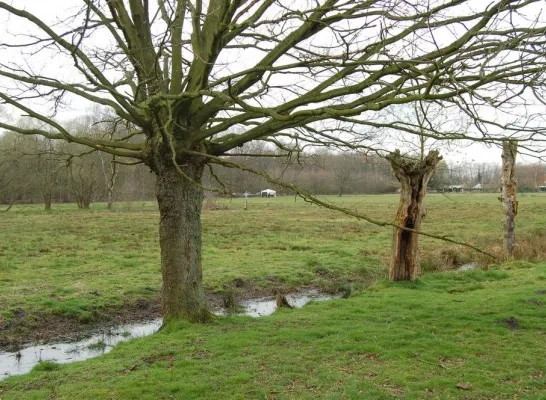 prinsenveld_hofstade.jpg