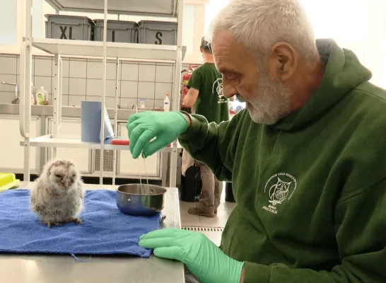 Marc Van De Voorde van het Vogelopvangcentrum in Malderen