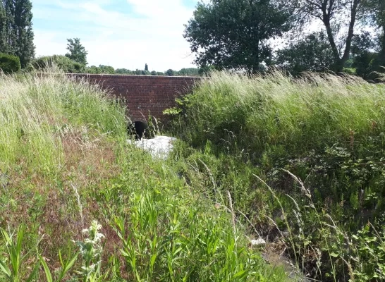 pesticiden_sterrebeek.jpg