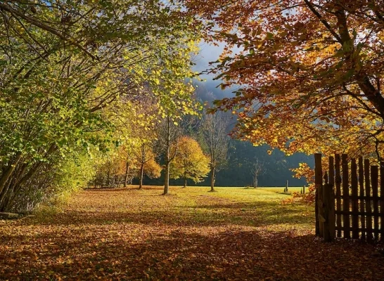 natuur.jpg