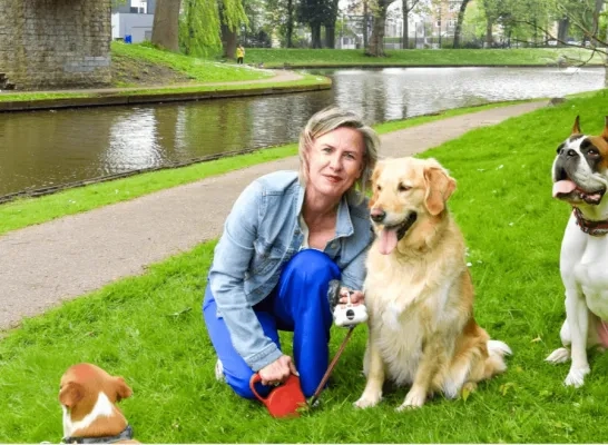 Schepen Katrien Vaes bij golden retriever Max Schepen Katrien Vaes bij golden retriever Max