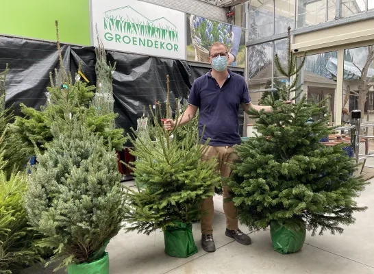 kerstboom_groendekor.jpg