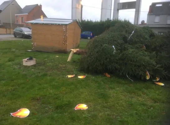 kerstboom_humbeek_sas3.jpg