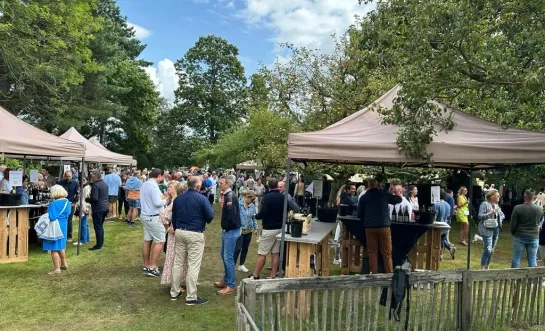 kaapwijn_festival_wijn.jpeg
