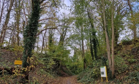 derde_fase_van_onderhoudswerken_aan_holle_wegencomplex_kattebergen-diepekanten_pakt_gedeelte_tussen_nieuwe_schapenweg_en_woningen_aan.jpg