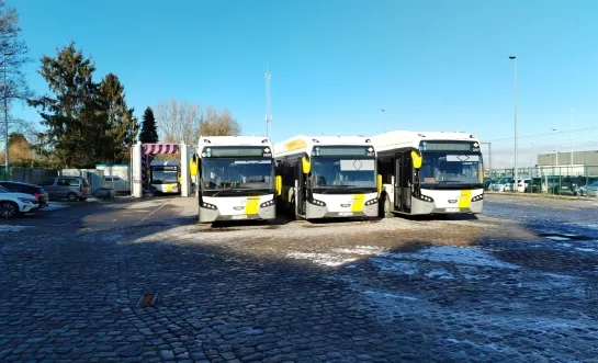 delijn_asse.jpeg