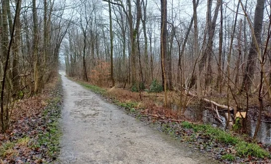 Speelbos Passiewijk Melsbroek