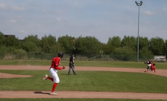 Heren van baseballclub The Merchtems Cats aan de leiding in de hoogste klasse