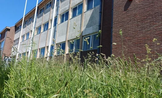 Het parket Halle-Vilvoorde in Asse