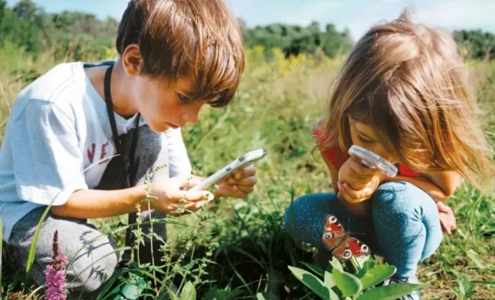 Breng de fauna en flora in je buurt in kaart