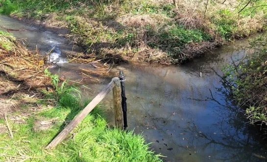 Ternat gebruikt innovatieve sensoren en AI voor beter waterbeheer: “Snel reageren bij droogte of wateroverlast”