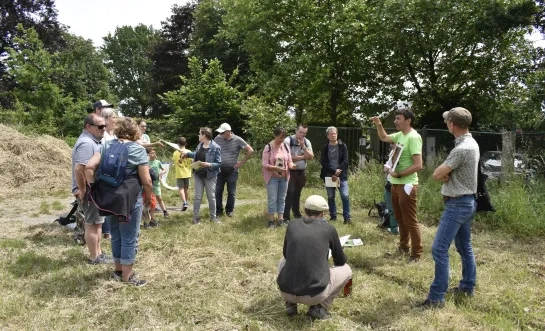 Hommels tellen op de Kesterheide