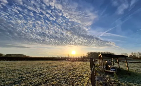 De tuin van Eden in Elingen