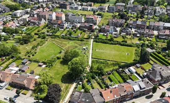 Wilderveld