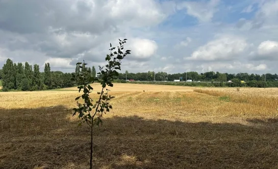 Zaventem verkoopt grond aan Elia voor bouw hoogspanningscabine