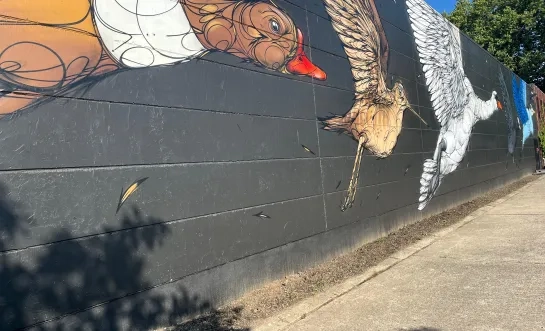 Animalinasroute