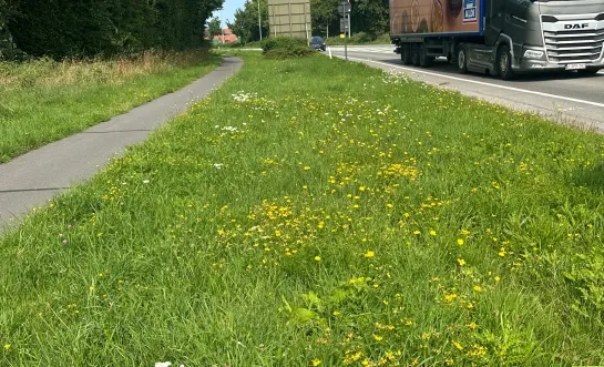 Geen sluikstort meer op Woluwelaan