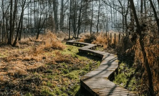 Wellemeersen