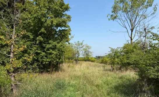 Gemeente weigert vergunning voor zonnepanelenpark Hekelgem