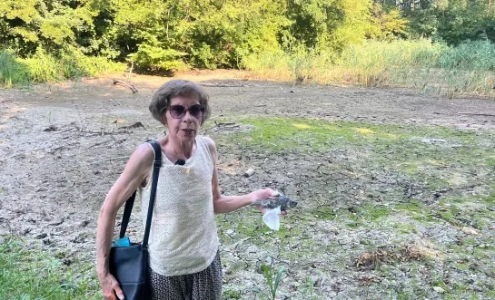 Buurtbewoners van Boekfos in Asse redden 250 vissen van verstikking uit poel