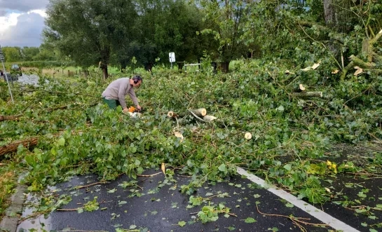 Storm treft Pajottegem en Ternat