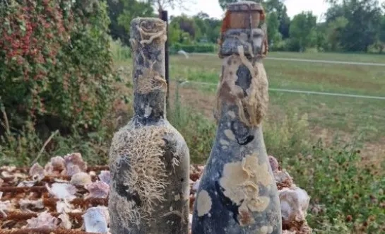 Oude Geuze rijpt een jaar lang op de Adriatische zeebodem