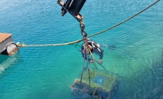 Oude Geuze rijpt een jaar lang op de Adriatische zeebodem