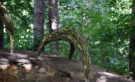Nature Art 2025