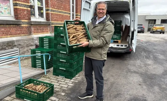 Provincie verdeelt 900 witloofboxen aan scholen