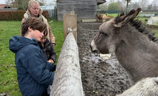 Dieren voederen bij Het Snoezelhof