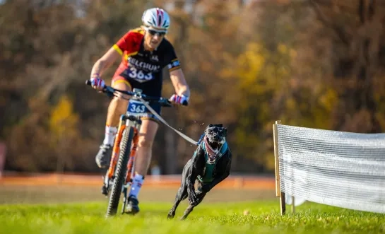 Karin en dochter Kirsten uit Opwijk zijn kampioenen in bikejöring