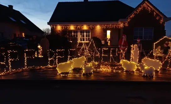 De schapenbaan in Ternat is feestelijk versierd met... lichtgevende schaapjes