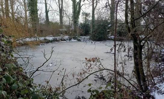 Eén van de vijvers in de Maalbeekvallei