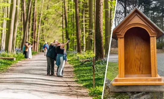 Een lege Sint-Waltrudiskapel in het Hallerbos. 