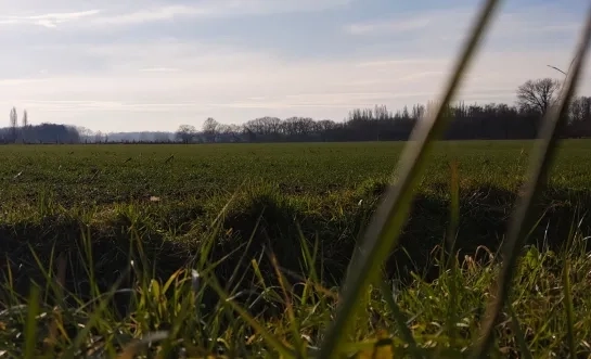 Open ruimte in Meise