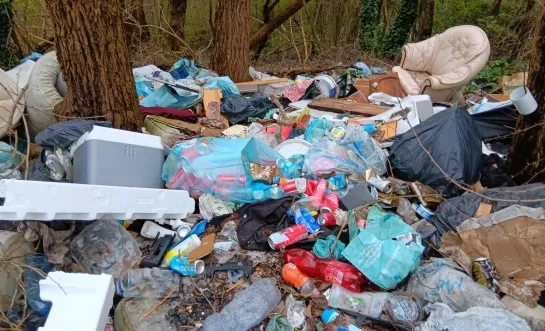 De provincie Vlaams-Brabant heeft in Groot‑Bijgaarden maar liefst 21 ton afval geruimd