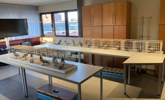 De politie vond in totaal 170 gestolen prijsduiven terug