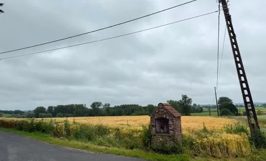Op deze plek in Sint-Pieters-Kapelle wil Spark Power een windturbine maken