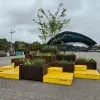 Kleurrijke bakken fleuren Stationplein Halle op