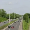 De spin werd ontdekt vlakbij het verkeersknooppunt in Sint-Stevens-Woluwe